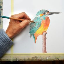 Click_through.11