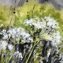 Details_0000s_0006_Cow.Parsley.study.3