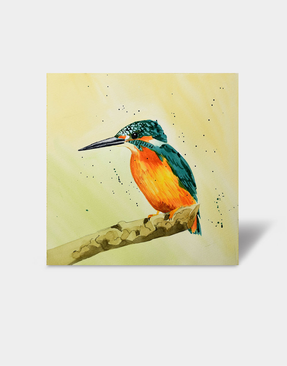 KINGFISHER.jpg