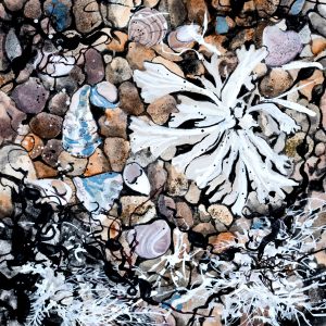 Elemental study