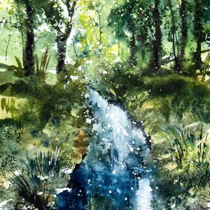 Sunlight sparkles on the stream