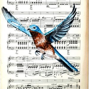 Songbird collage 2